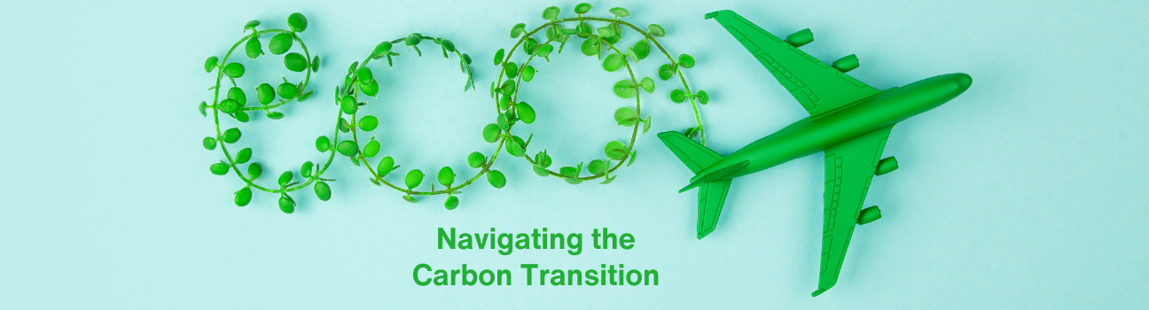 Navigating the Carbon Transition: Financing Sustainable Fleets in a Net-Zero Era