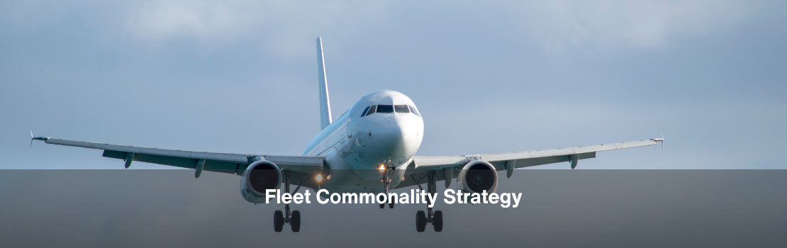 Fleet Commonality Strategy: Why Do Airlines Standardise on Fewer Aircraft Types?